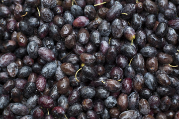 Black olives in the market - Olea europaea