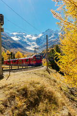 Fototapeta premium Bernina Express - Trenino rosso con paesaggio autunnale