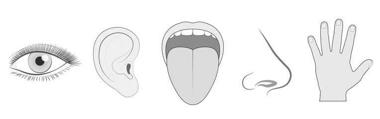 Five senses - sight, hearing, taste, smell and touch - schematic isolated vector icon illustration set of eye, ear, tongue, nose and hand on white background.