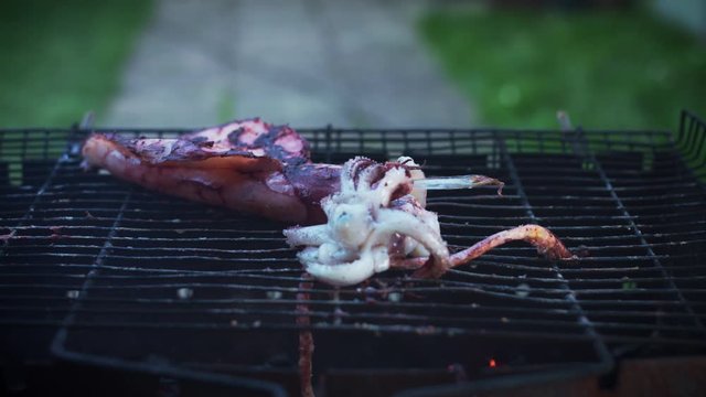 4k Grill Cooking Barbecue Squid