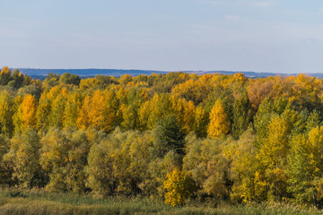 Naklejka premium Aerial view of colorful autumn trees