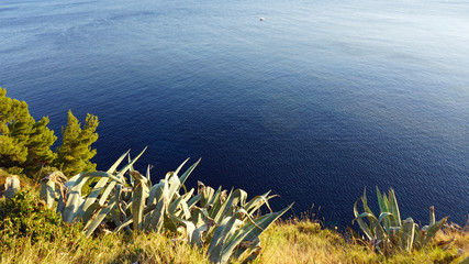 amazing natural beach in croatian town dubrovnik