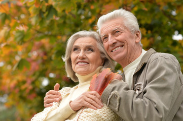 senior couple hugging   in the park 