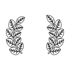 bouquet leaves  vector illustration