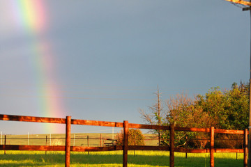 Rainbow over paddock