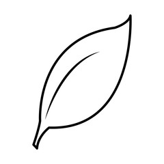 Leaf isolated symbol icon vector illustration graphic design