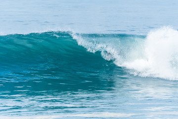 Bodyboarder surfing ocean wave