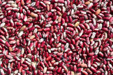 Closeup image of red white haricot  kidney beans background