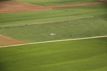 Obraz premium Lonely flock