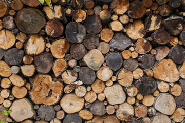 A stack of spilled log in a section of birch, ash, oak, background of round spilled wood