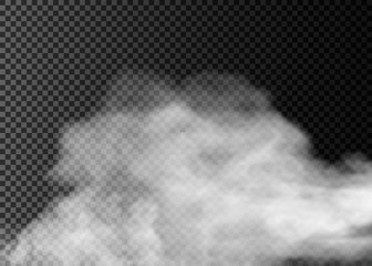 Fog or smoke isolated transparent special effect. White vector cloudiness, mist or smog background.