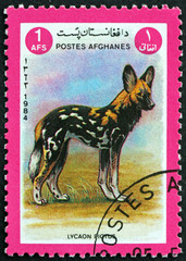 Postage stamp Afghanistan 1984 African Wild Dog