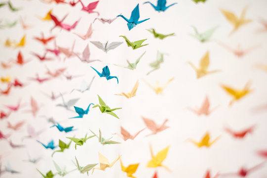 Oiseaux en origami