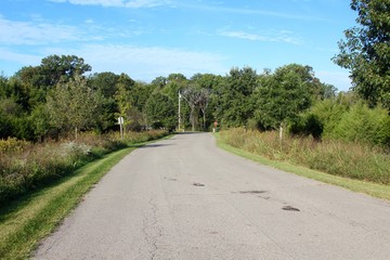 The empty road in the country on a sunny day.
