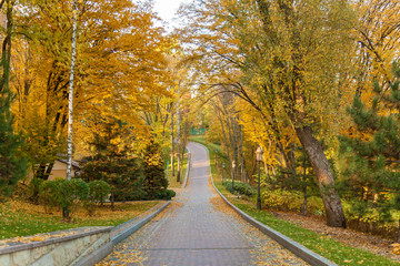 Fototapeta na wymiar beautiful autumn park at sunny weather. a footpath in an autumn park