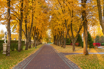 beautiful autumn park at sunny weather. a footpath in an autumn park