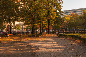 city park of Budapest, Liberty square. autumn beauty park in Budapest