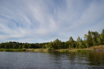 forest lake