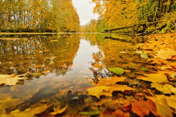 Obraz premium autumn on the river