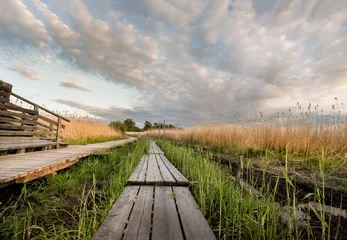 Fotobehang Ducboard path to the clouds. Beautifull cloudy landscape from Finland © finetones