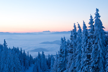 Sonnenaufgang am Berg
