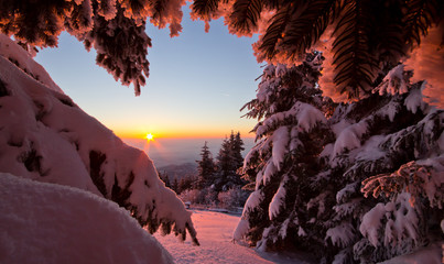 Sonnenaufgang am Berg - 177809618