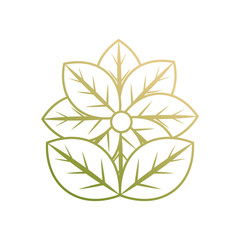 flower vector illustration