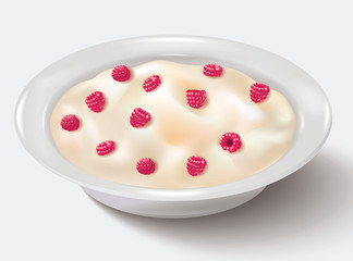 Porridge with fruits. A white plate of porridge with raspberries. Illustration isolated on white background with shadow.