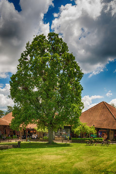 Svilajnac, Serbia May 17, 2017: Restaurant old oak in Serbia