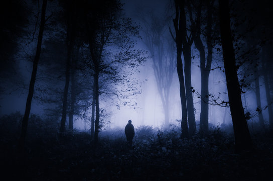 Fototapeta scary night scene in forest, halloween landscape
