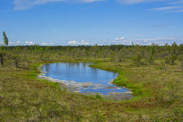 Kemeri National Park view, Latvia