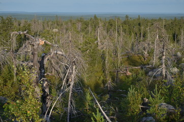 view from the mountain