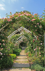 Fototapeta na wymiar park alley arches entwined with roses