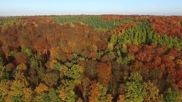 Flug am Waldhang