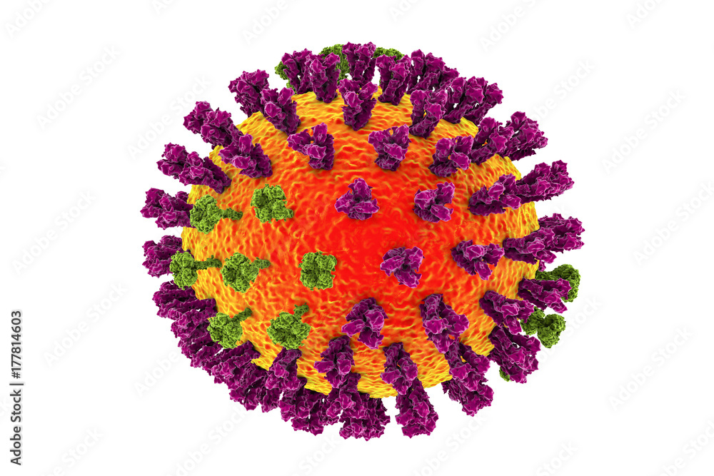 Wall mural Influenza virus. 3D illustration showing surface glycoprotein spikes hemagglutinin (purple) and neuraminidase (green)