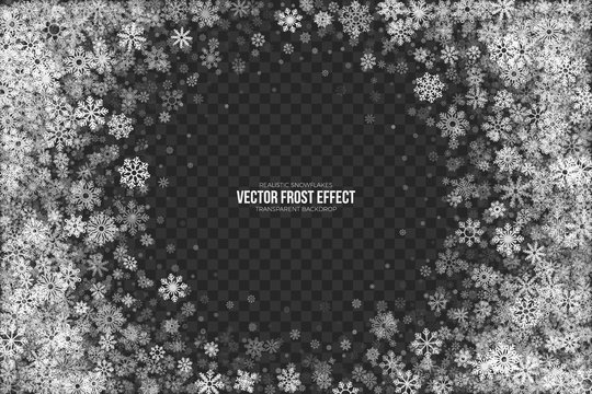 Snow Vector Frost Effect with Realistic White Winter Snowflakes Isolated on Transparent Background. Xmas Party Abstract 3D Illustration