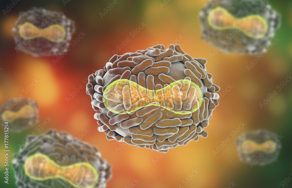 Wall mural Variola virus, a virus from Orthopoxviridae family that causes smallpox, highly contagious disease eradicated by vaccination, 3D illustration