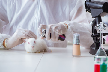 Scientist doing animal experiment in lab with rabbit