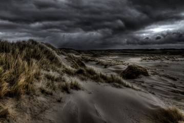 Insel Texel - De Slufter