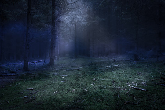 Fototapeta Dark forest and green den with mist and moonlight