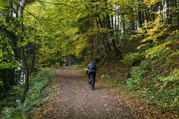 Obraz premium Cyclist in the forest. Slovakia