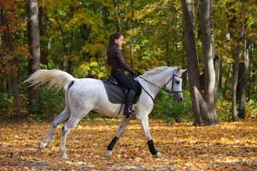 Equestrian girl ride white arabian horse in autumn woods