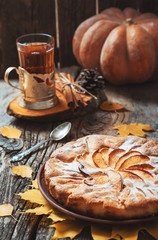 Fresh pastry apple pie with sugar powder on wooden table with hot drink tea and cinnamon on background. Homemade cake Thanksgiving. Village cuisine Rustic Food Cake concept. Holiday dinner with sweets