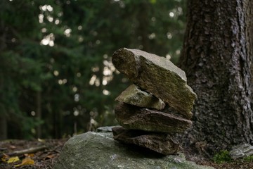 Stone tower in the woods. Slovakia
