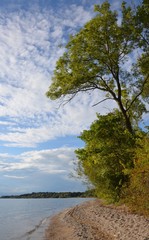 Chiemseestrand in Chieming herbstlich
