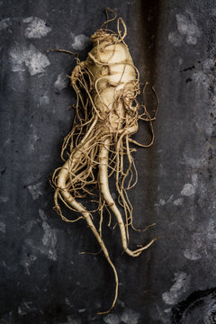 Ginseng root