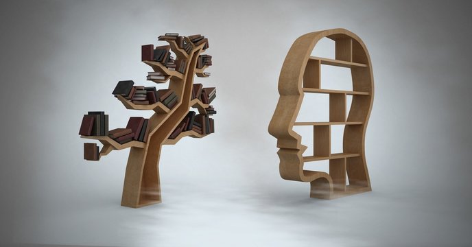 Head and tree bookshelf of knowledge with grey background