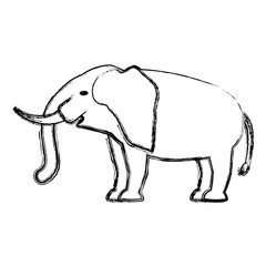 safari animals design