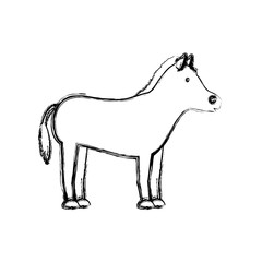 horse animal icon