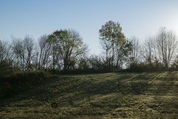 Colorful autumn leaves on the trees in nature. Slovakia
